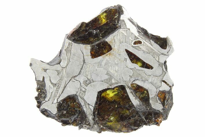 Pallasite Meteorite ( g) Slice - NWA #266444